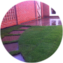 Patios and Gardens